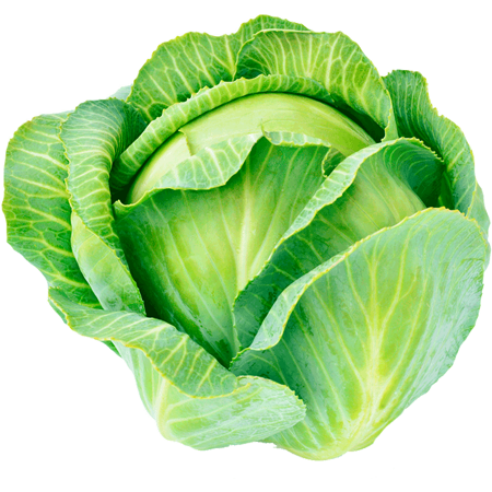 Działking