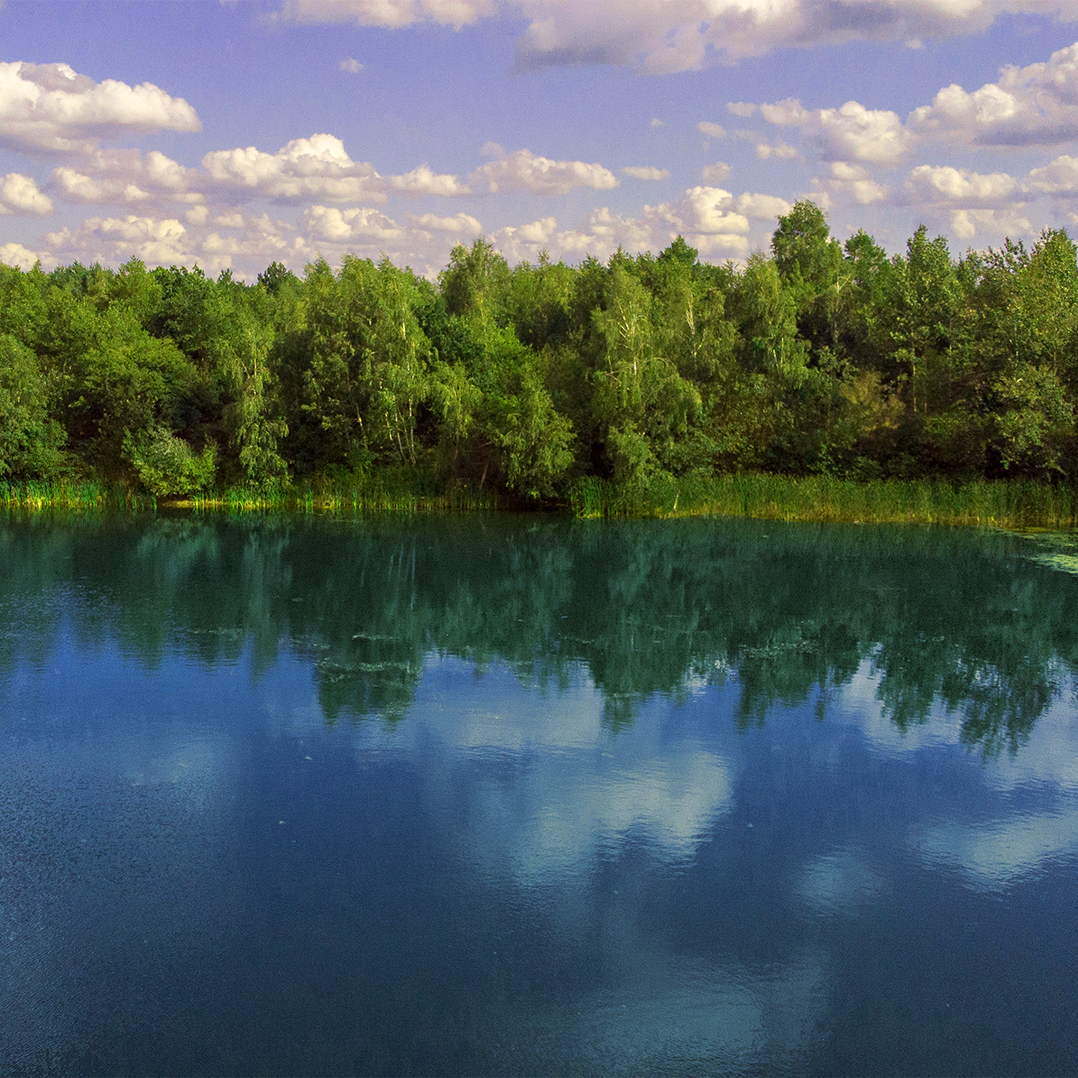 Działking