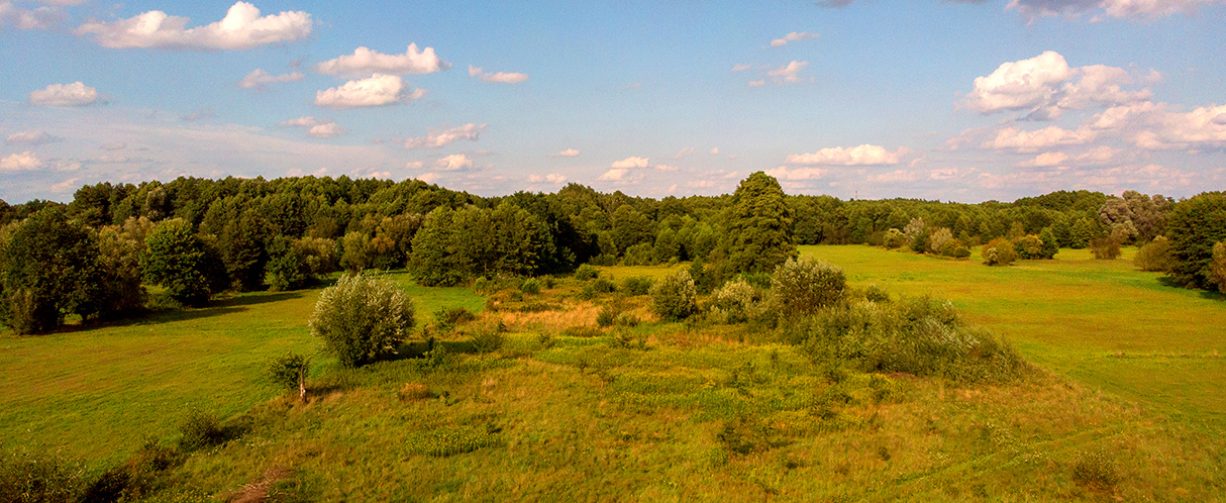 2 - Polski Narożnik